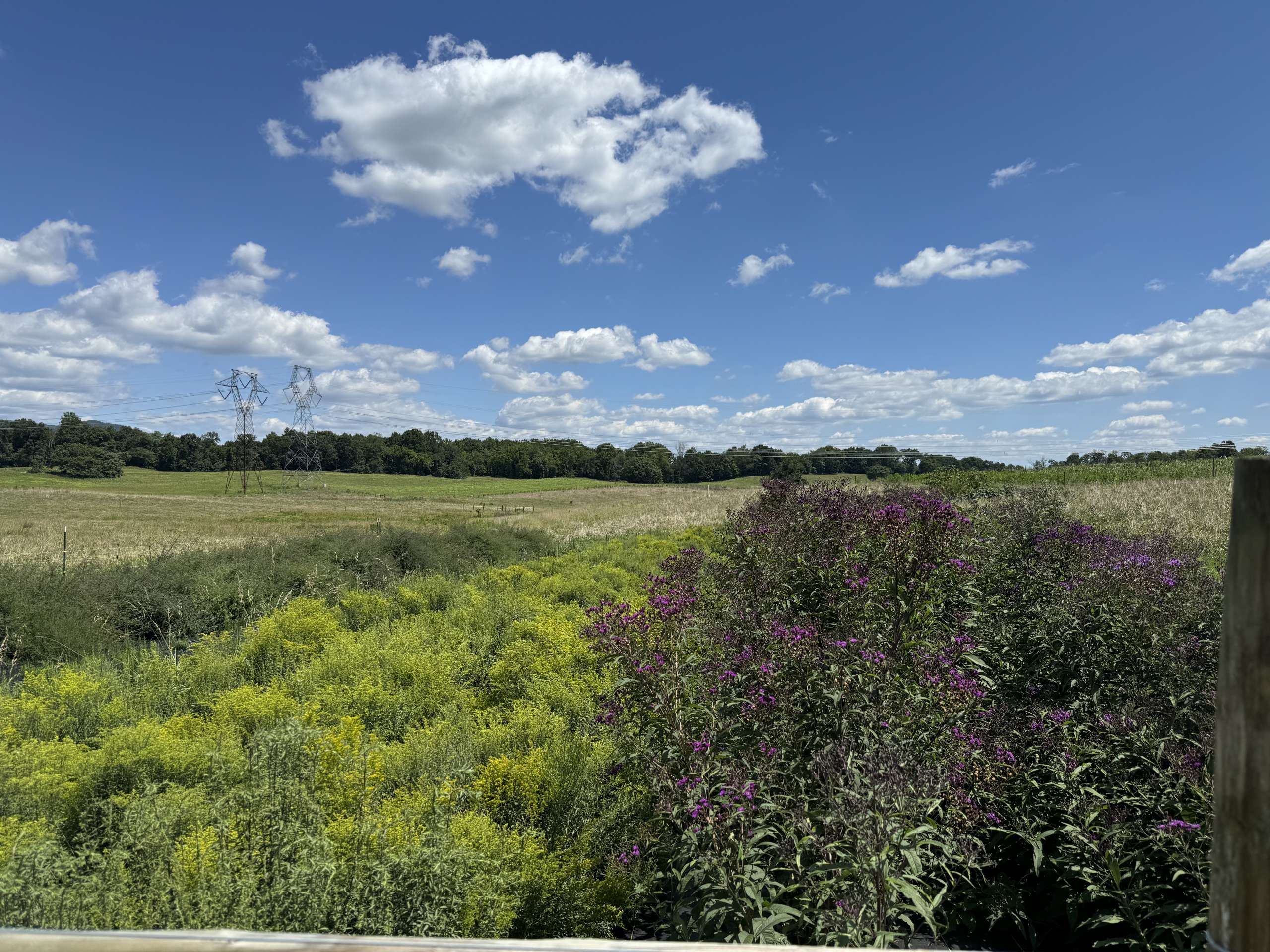 Seed plot with clouds